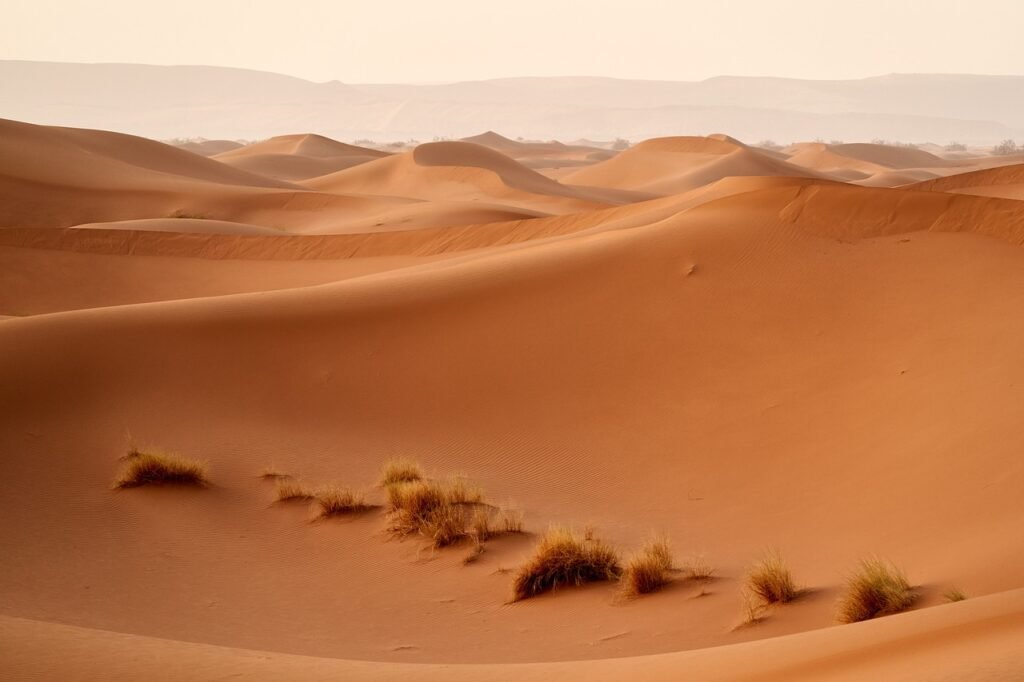 The largest desert in the world Sahara