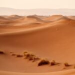 The largest desert in the world Sahara