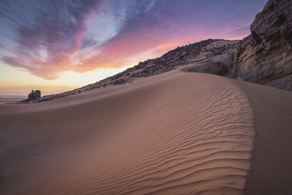 The largest desert in the world